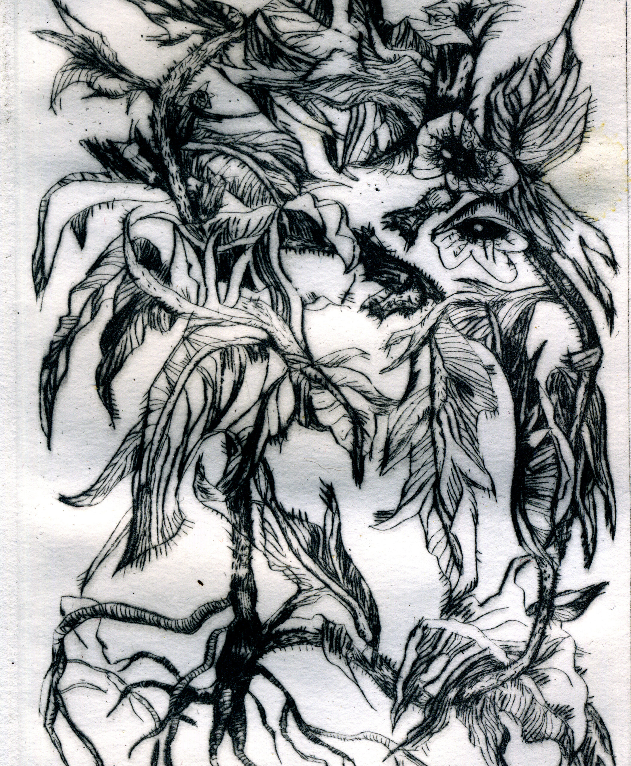 gravure aline 1